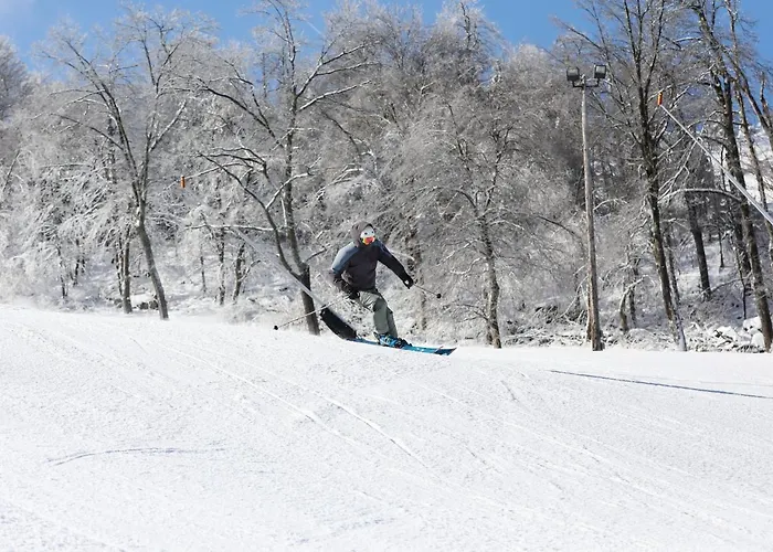 Seven Springs Swiss Mountain 3 Bedroom Standard Condo, Sleeps 8! Condo